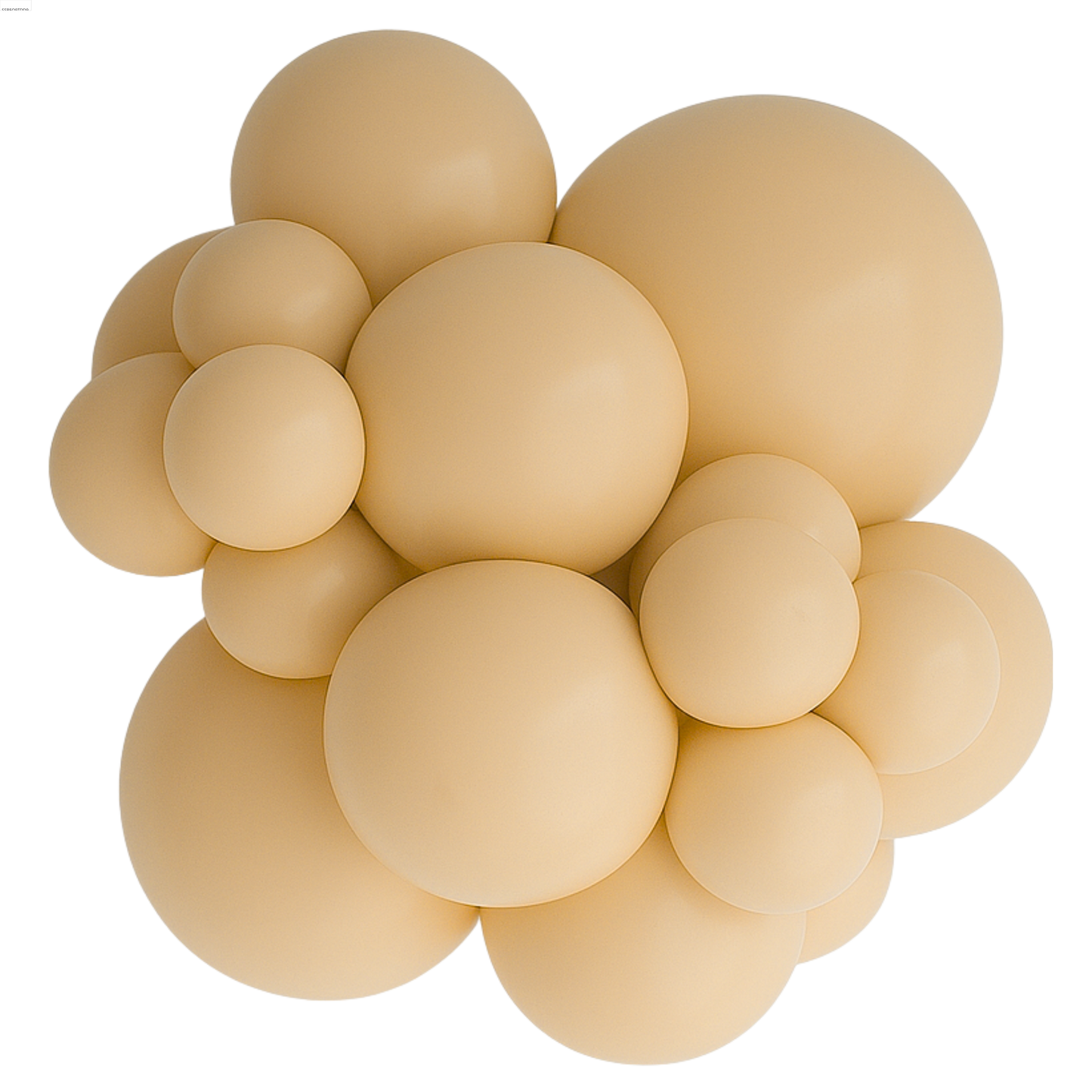 Latex Balloon Blush
