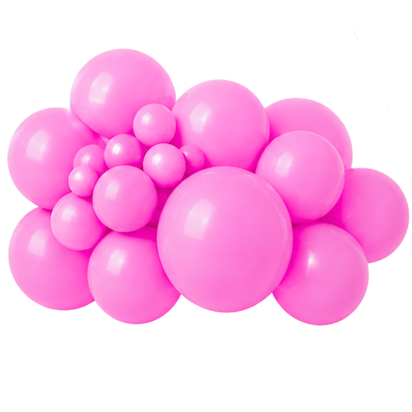 Rosa de globo de látex