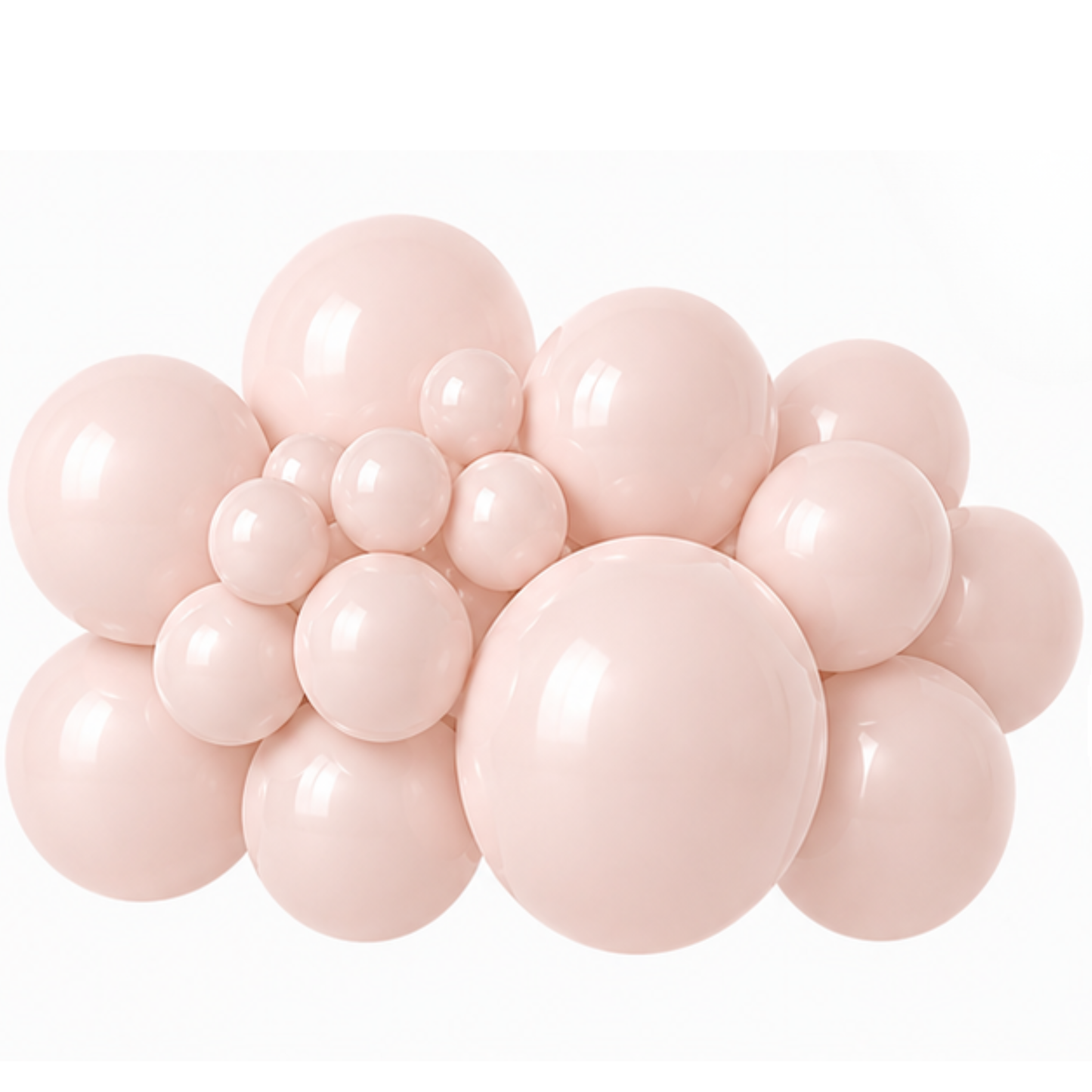 Concha de globo de látex